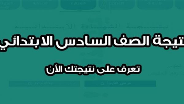 القاهرة 24