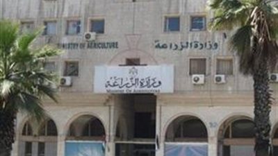 “الزراعة” 295 ألف طن فواكه وخضروات تم تصديرهم خلال يناير 2019