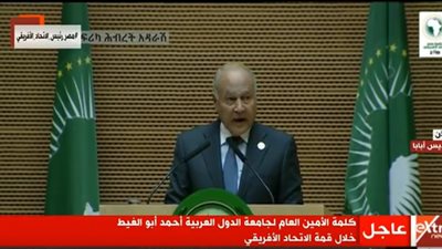 أبو الغيط: “هنجتمع بعد سنة للتهنئة بنجاح السيسي في إدارة الاتحاد الإفريقي”