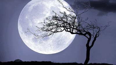 ترقب عالمي لـ”القمر العملاق” اليوم.. الأكبر في 2019