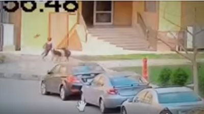 كلاب تهاجم طفل بطريقة وحشية في “مدينتي”.. ووالدته: قطعت لحم ابني وكان بيموت (فيديو)