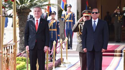 القمة العربية الأوروبية ولقاء الرئيس الألباني.. نشاط السيسي في أسبوع