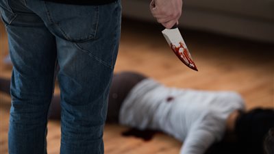 أمن القليوبية يكشف غموض مقتل سيدة وطفليها بشبرا الخيمة.. شقيقها وراء الجريمة لسوء سلوكها