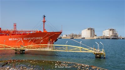 ميناء دمياط: مغادرة قطار سكة حديد بحمولة 1300 طن قمح إلى صوامع شبرا