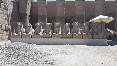 مدير معابد الكرنك: مشروع ترميم الكباش هدية مصر للعالم في العام الجديد (خاص)