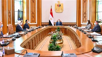 الرئيس السيسي يستعرض المخطط التنفيذي لمشروع تنمية الأسرة المصرية