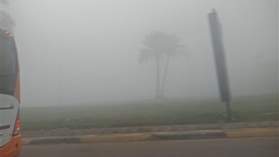 شبورة مائية كثيفة تغطي سماء الإسكندرية وتحجب الرؤية بالطريق الصحراوي والساحلي (صور)