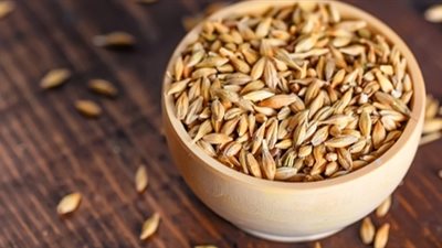 تعرف على 16 فائدة لا تعرفها من قبل عن الشعير