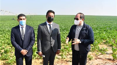 السيسي: مشروع 