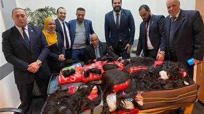 جمارك مطار القاهرة تضبط محاولة تهريب كمية من خصلات الشعر الطبيعي