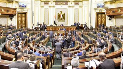 العمل من أجل مصلحة الوطن.. أبرز تصريحات النائبات عقب استخراجهن الكارنيه