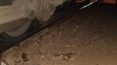 خروج جرار قطار منوف- طنطا على القضبان في محطة شنوان بالمنوفية (صور)