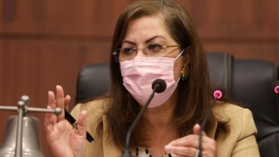 وزيرة التخطيط: 