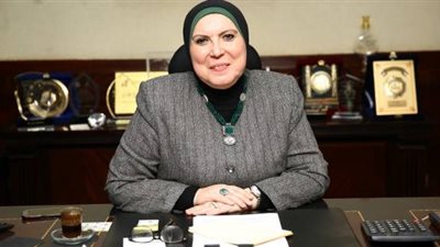 نيفين جامع: توفير فرص عمل للعائدين من الخارج وتمويل المشروعات الصغيرة ومتناهية الصغر