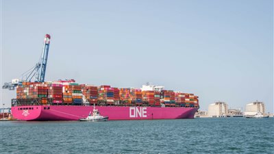 ميناء دمياط: مغادرة قطارين بضائع بحمولة 2629 طن قمح إلى صوامع