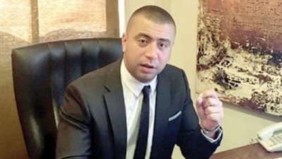 برلماني: قوانين الفرنشايز والإفلاس والحوافز الضريبية للمشروعات على رأس أجندتي التشريعية