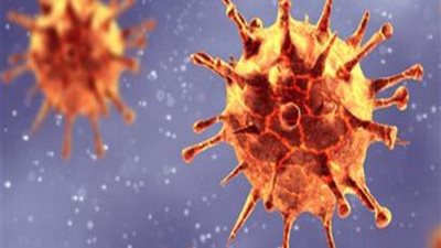 القليوبية تُسجل 25 حالة إصابة جديدة بفيروس كورونا