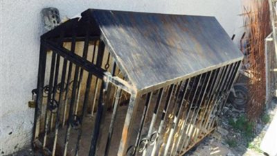 مثل الحيوانات.. أسرة تحبس ابنتها في قفص 5 سنوات لهذا السبب