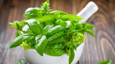 الريحان والنعناع أبرز الأعشاب التي تعزز صحة القلب.. تعرف على فوائدهما