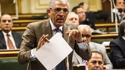 وكيل محلية النواب: نحتاج حكومة تحذو حذو الرئيس