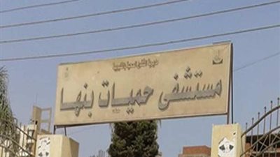 مدير حميات بنها: 