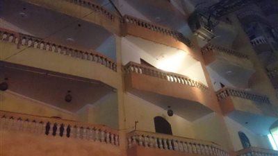 الحماية المدنية تنقذ قطة عالقة بالطابق الرابع في كفر الشيخ (صور)