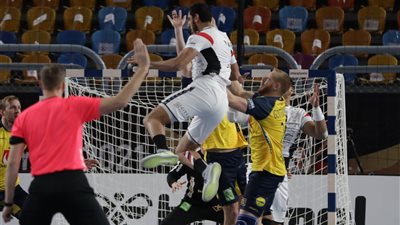وزير الرياضة يشيد بالأداء البطولي للمنتخب الوطني في مواجهة السويد