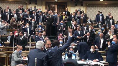 بسبب حزب مستقبل وطن.. مشاجرة بين نواب مستقبل وطن ومحمد عبد العليم داوود (صور)