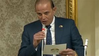 برلماني: افتقدنا وجود استراتيجية واضحة من وزارة الإعلام للرد على شائعات وأكاذيب الخارج