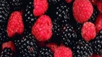 دعاء سهيل: التوت البري يساهم في التخلص من الدهون الثنائية والاحادية