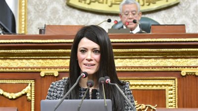 وزيرة التعاون الدولي: وفرنا تمويلات بـ3 مليارات دولار لتنمية جزيرة سيناء