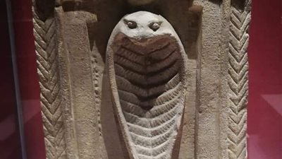 أبرزها تمثال الكوبرا.. أبرز مقتنيات سيناريو العرض بمتحف الغردقة 