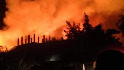 السيطرة على حريق بمزارع النخيل في الوادي الجديد