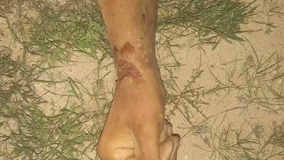 كشف لغز مقتل 3 مصريين في ليبيا (صور)