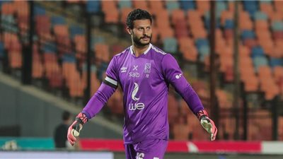 أحمد شوبير: 