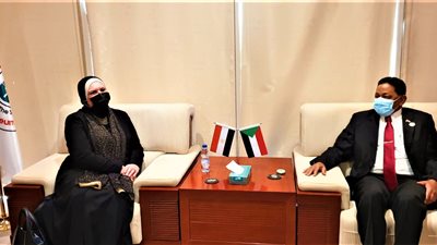 نيفين جامع تتفق مع وزير الطاقة السوداني على دعم تصنيع الخامات التعدينية