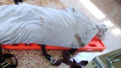 بسبب خلافات أسرية.. مقتل ربة منزل على يد زوجها في أخميم بسوهاج