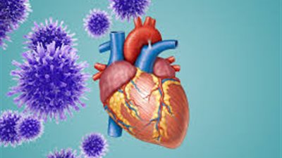 أستاذ بجامعة القاهرة: نسبة شفاء مرضى القلب من كورونا منعدمة تمامًا (فيديو)