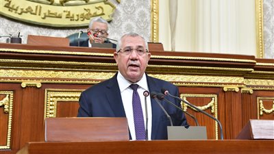 وكيل البرلمان يحيل بيان وزير الزراعة إلى اللجان المختصة