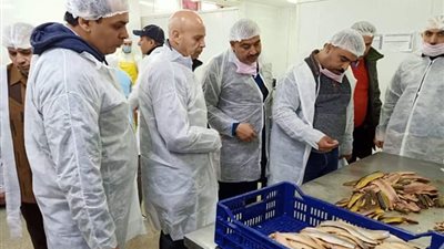 تشميع 2391 منشأة وضبط أكثر من نصف مليار كيلو أغذية غير صالحة للاستهلاك الآدمي في الشرقية (صور)