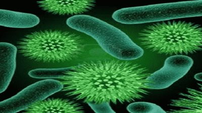 هل يمكن أن يزداد خطر الإصابة بالتيفود خلال فصل الشتاء؟