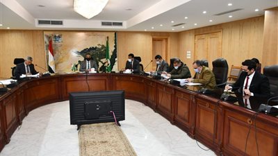 الفيوم: زيادة قطعان التسمين بمشروع الدواجن التكاملي من 36 ألف طائر لـ62 ألفًا