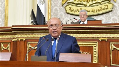 سامح شكري: أزمة سد النهضة تؤثر سلبًا على حياة 250 مليون مواطن إفريقي