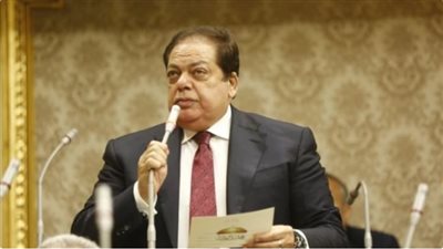 أبو العينين: لا بد من وقفة لمواجهة ملف حقوق الإنسان خارجيًّا