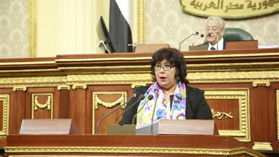 إيناس عبد الدايم من البرلمان: برنامج الدمج الثقافي يعتمد على دعم قيم الانتماء الوطني 