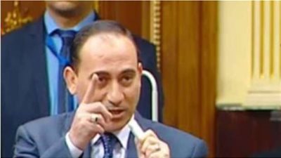 برلماني يحذر من تغلغل 