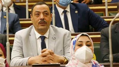 النائب أشرف أمين: تدخلات الكونجرس الأمريكي في شئون مصر مرفوضة