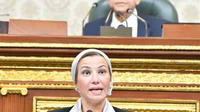 وزيرة البيئة: الانتهاء من تطوير  215 مكامير فحم نباتي وتنفيذ 2000 برنامج لزيادة الوعي البيئي