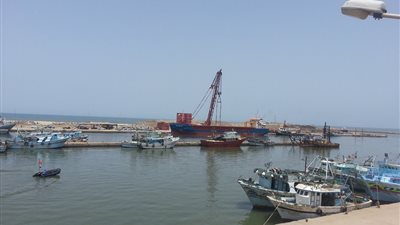استئناف حركة الصيد بميناء البرلس.. وانطلاق 127 مركبًا في عرض البحر المتوسط بكفر الشيخ 