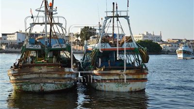 أهالي الصيادين المحتجزين على متن 4 مراكب صيد بإريتريا يناشدون الخارجية التدخل للإفراج عنهم